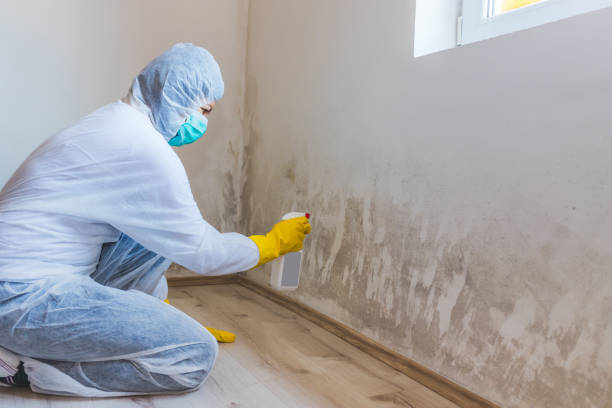 Mold Remediation specialist working in Stokes